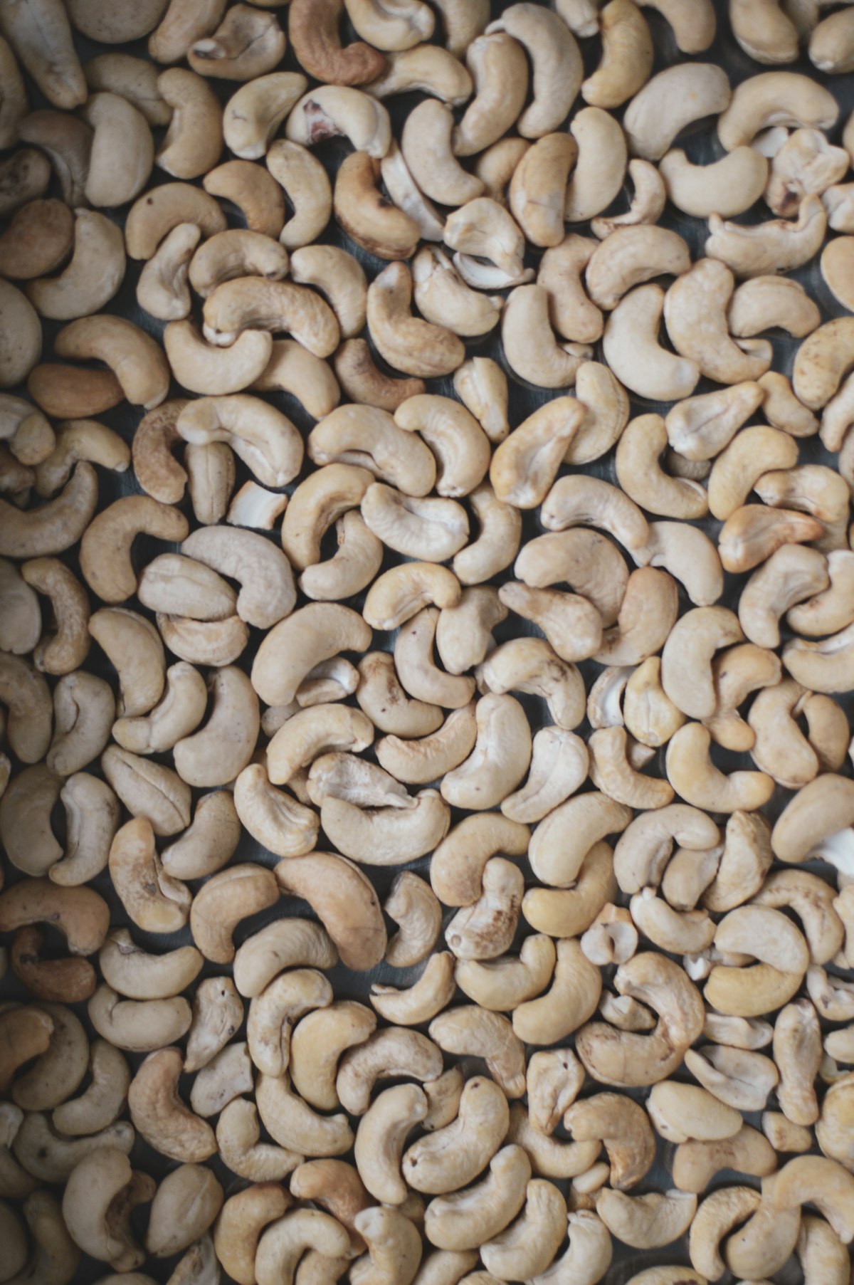 Fresh cashew nuts ready for estate product processing